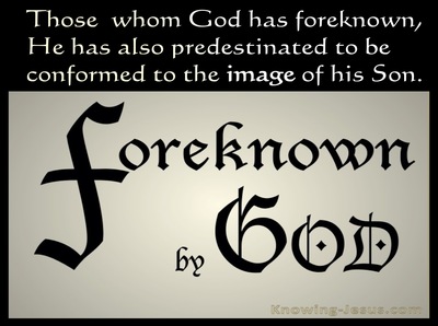 Foreknown of God